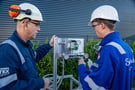 Inspection flexible