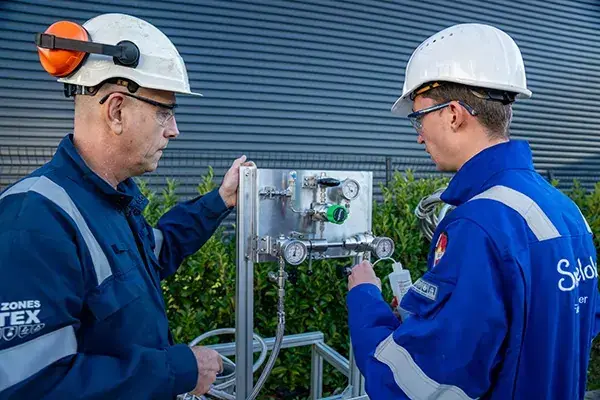 Inspection flexible_11zon