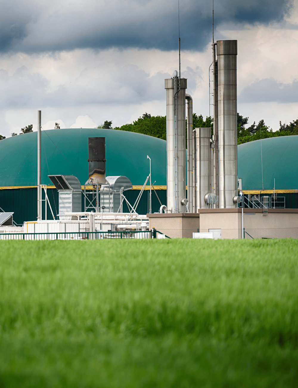 production gaz verts